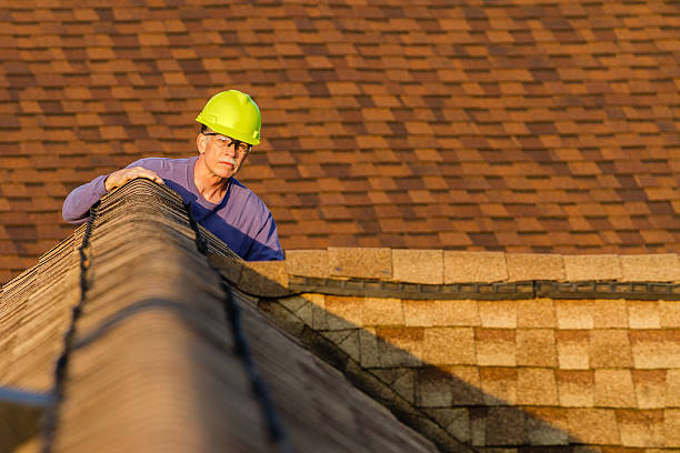 Best Roof Inspection Near Me  in Colfax, IL