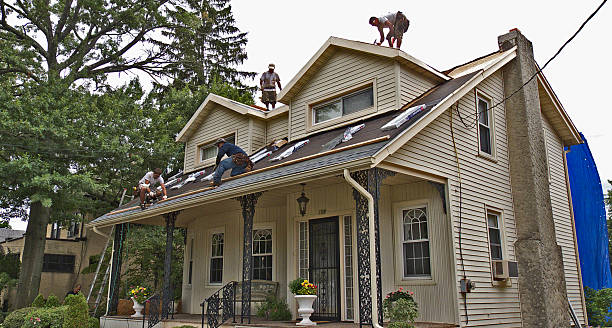 Best Residential Roofing Contractor  in Colfax, IL